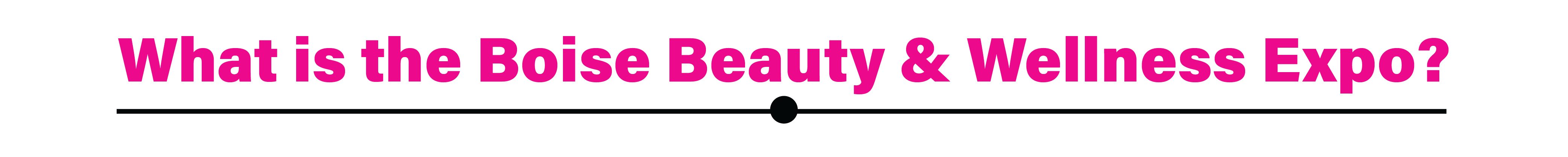 What is Boise Beauty Expo