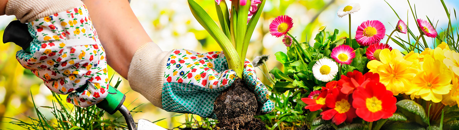 About The Boise Flower And Garden Show For Exhibitors