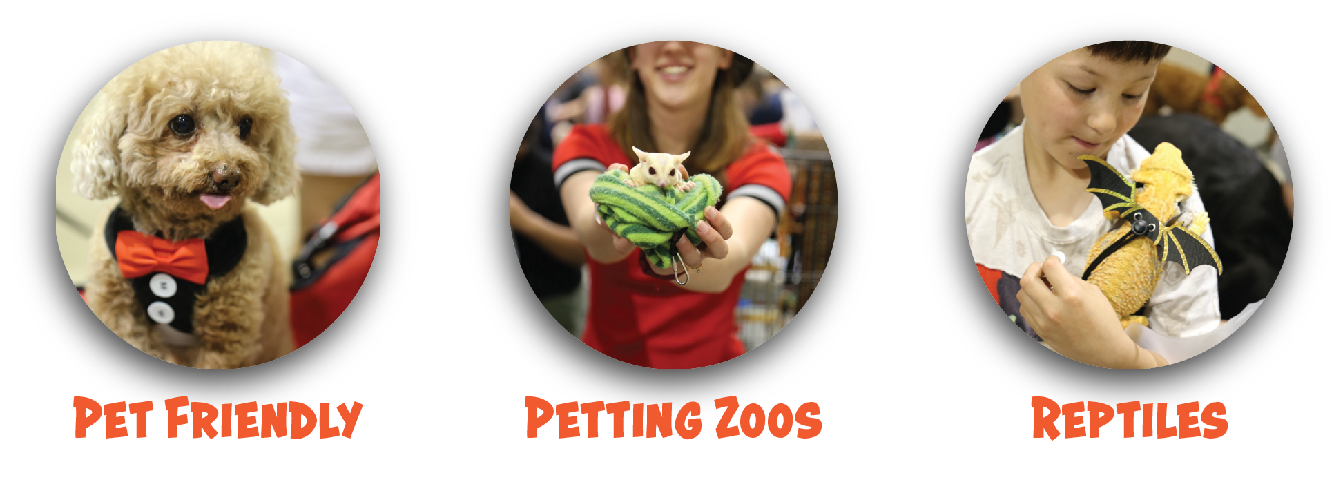 pet2