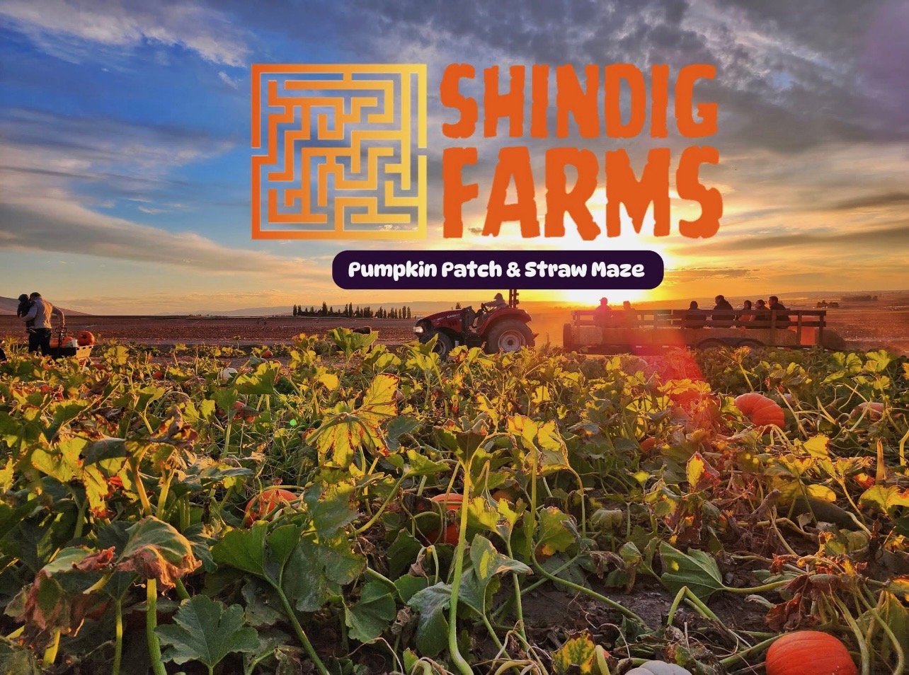 Shindig Farms