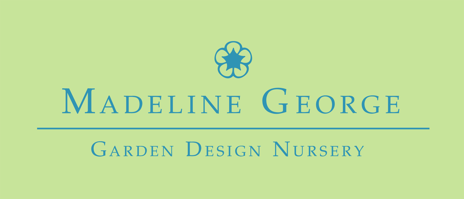Madeline George Garden Design
