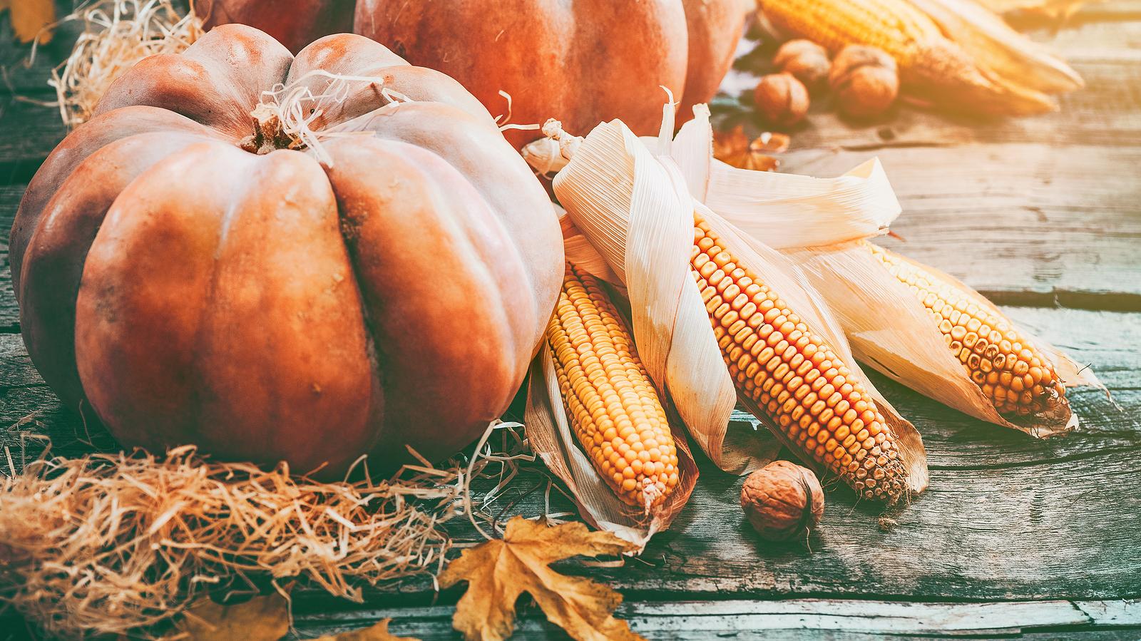 Arrangement of gourds and corn.