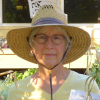 Jacquelyn Jarboe