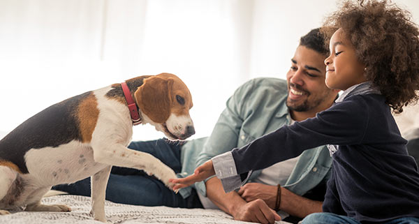 The Idaho Pet Expo